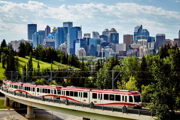 A moving train surrounded by greenery and buildings