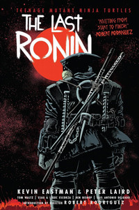 Book cover for the last roninh.