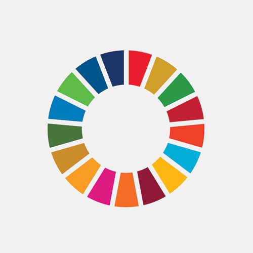 United Nations Sustainable Development Goals colour wheel