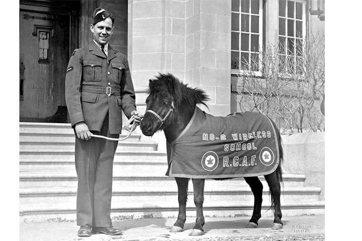 A vintage photo of a Royal Canadian Aircraftman poses with his Shetland pony.