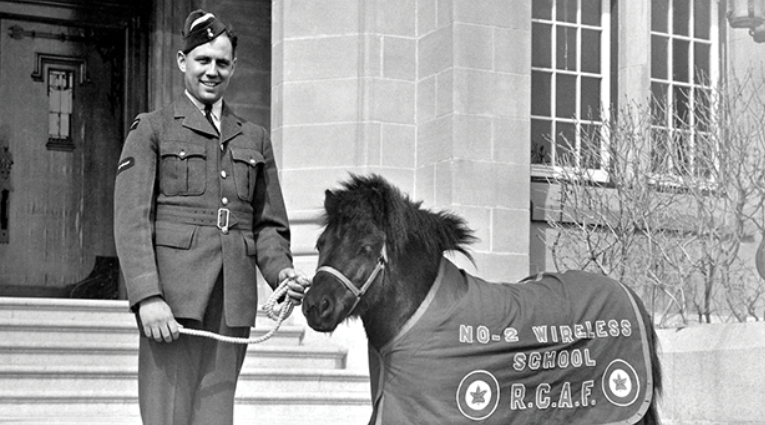 A vintage photo of a Royal Canadian Aircraftman poses with his Shetland pony.