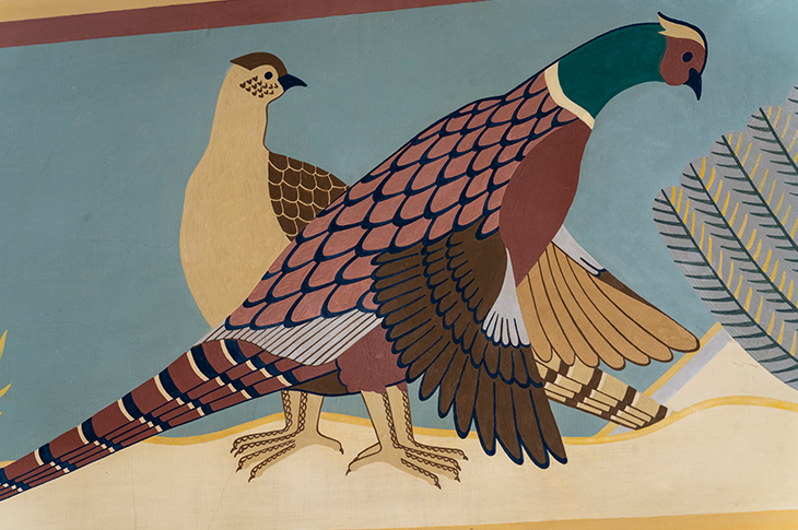 Close up of pheasants on mural.
