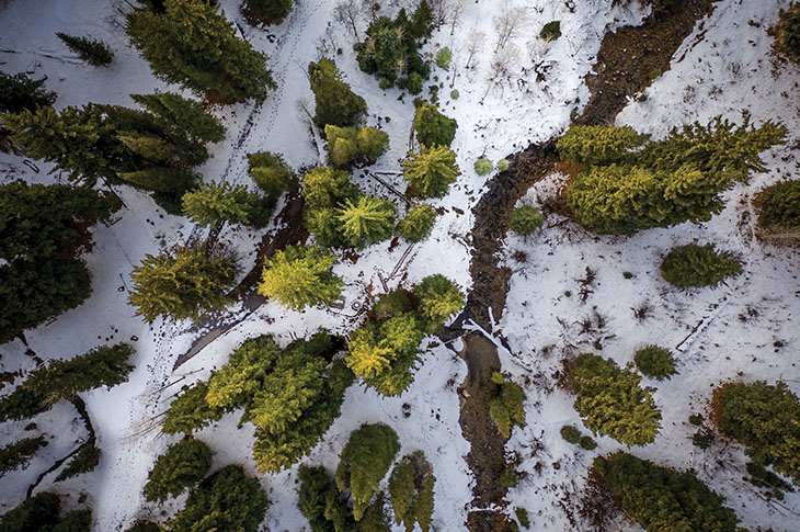 Aerial photo of forest in the winter