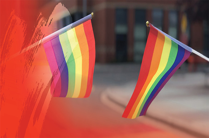 sait giving day pride flags