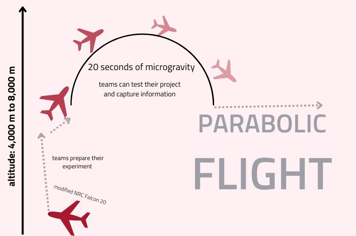 infographic showcasing how a parabolic flight works