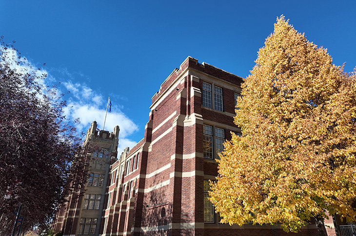 A yellow tree stands in front of a brick building under a blue sky.